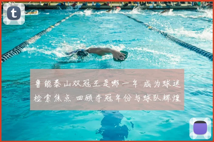 鲁能泰山双冠王是哪一年 成为球迷检索焦点 回顾夺冠年份与球队辉煌历程