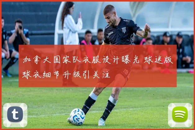 加拿大国家队衣服设计曝光 球迷版球衣细节升级引关注