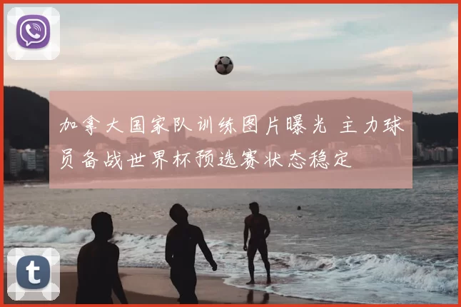 加拿大国家队训练图片曝光 主力球员备战世界杯预选赛状态稳定