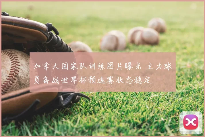 加拿大国家队训练图片曝光 主力球员备战世界杯预选赛状态稳定