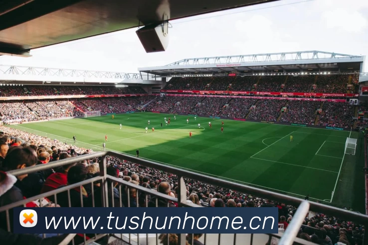 多媒体互动体验